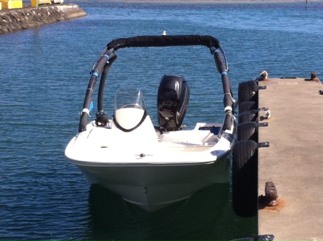 Sea Fan Boston Whaler for Sale in Majuro