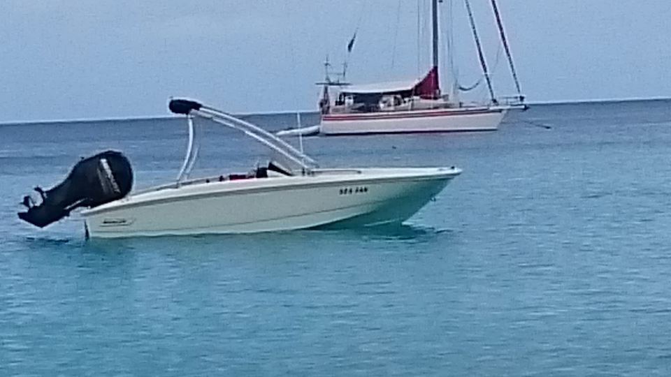 Sea Fan Boston Whaler for sale in Majuro